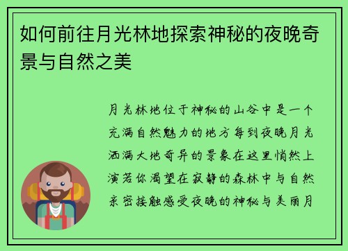 如何前往月光林地探索神秘的夜晚奇景与自然之美 如何前往月光林地探索神秘的夜晚奇景与自然之美